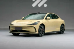 IM Motors L6